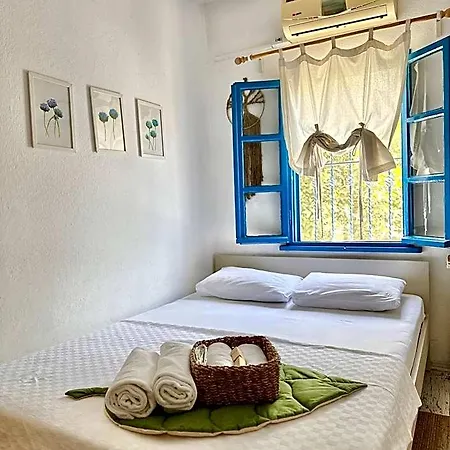 L'onda Bodrum 검벳