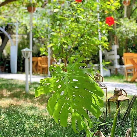 L'onda Bodrum 호텔 *