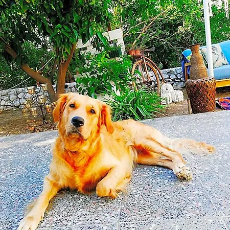 L'onda Bodrum 호텔 검벳