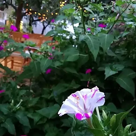 L'onda Bodrum 호텔